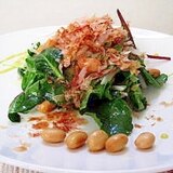 新玉ねぎと大豆のＤＥＬＩ風サラダ